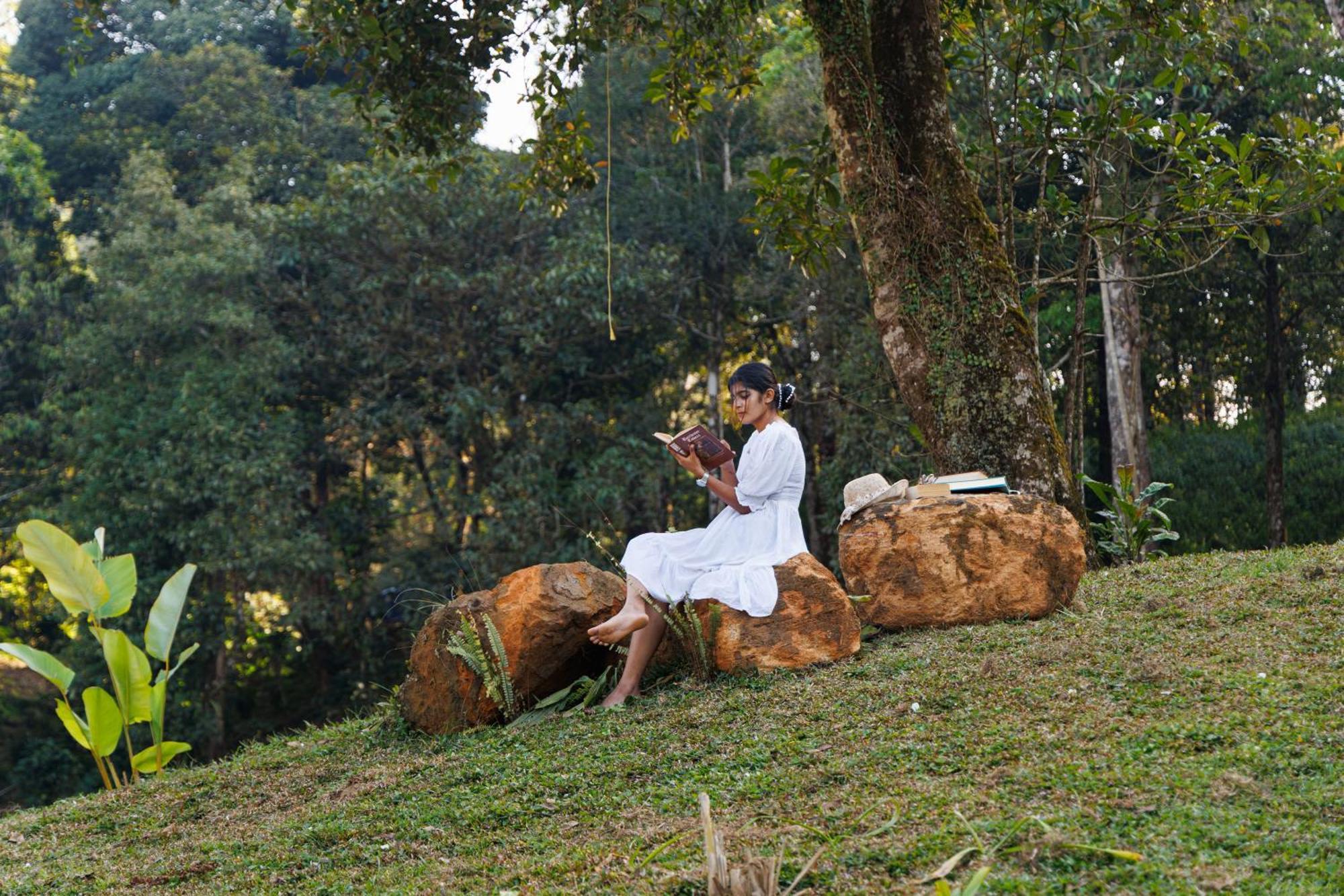 Jungle Park Resort By Greenescapes Vythiri Esterno foto