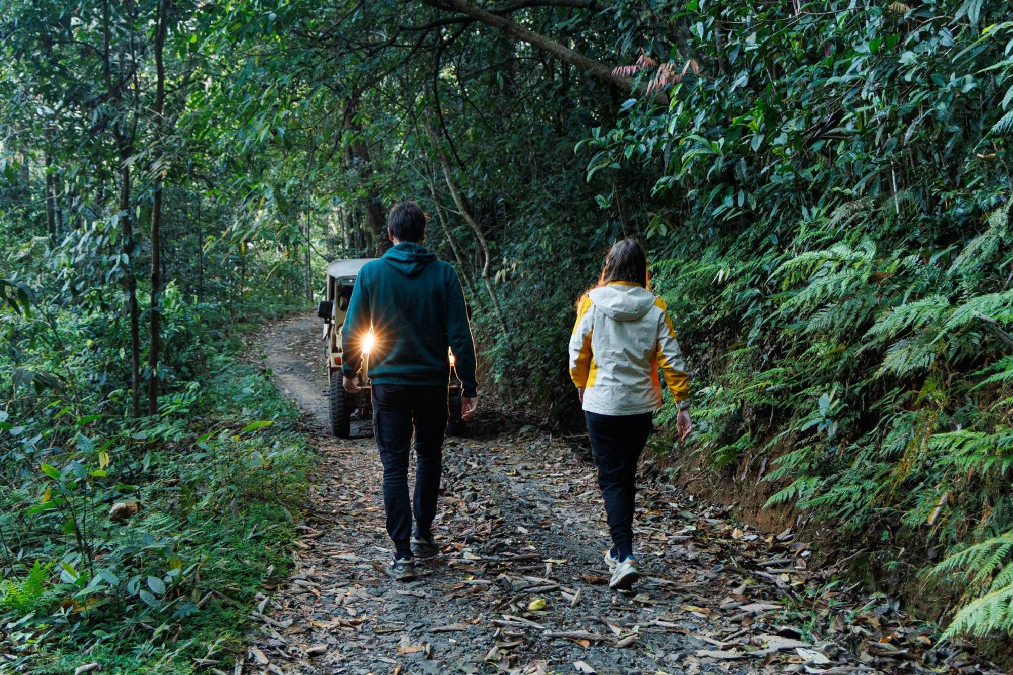 Jungle Park Resort By Greenescapes Vythiri Esterno foto